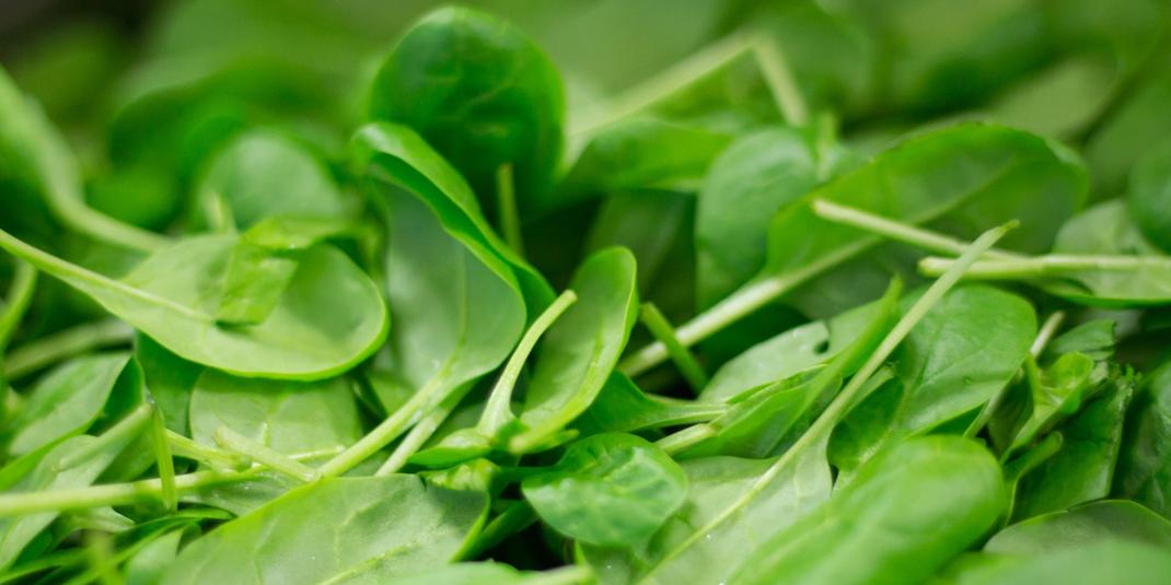 spinach leaves